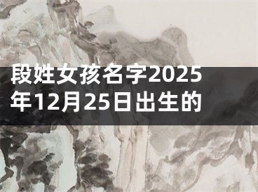 段姓女孩名字2025年12月25日出生的
