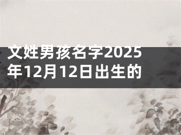 文姓男孩名字2025年12月12日出生的