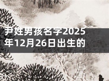 尹姓男孩名字2025年12月26日出生的