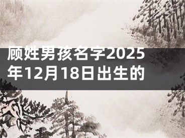 顾姓男孩名字2025年12月18日出生的