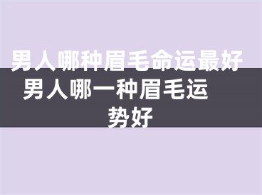 男人哪种眉毛命运最好  男人哪一种眉毛运势好
