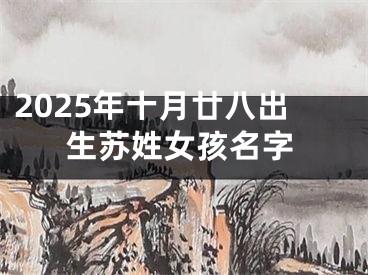 2025年十月廿八出生苏姓女孩名字