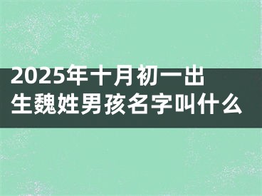 2025年十月初一出生魏姓男孩名字叫什么