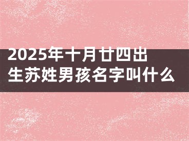 2025年十月廿四出生苏姓男孩名字叫什么