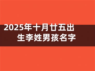 2025年十月廿五出生李姓男孩名字