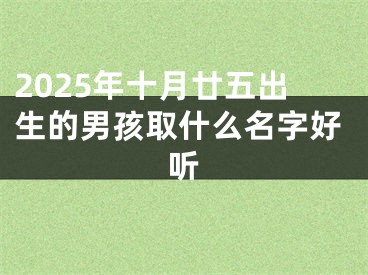 2025年十月廿五出生的男孩取什么名字好听