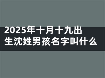 2025年十月十九出生沈姓男孩名字叫什么