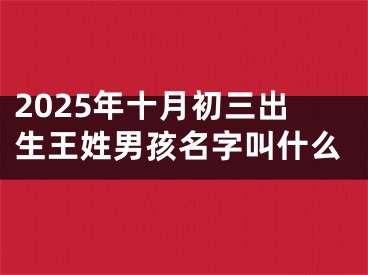 2025年十月初三出生王姓男孩名字叫什么