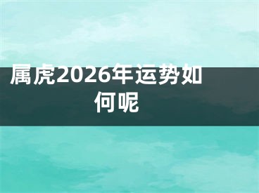 属虎2026年运势如何呢