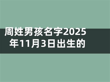 周姓男孩名字2025年11月3日出生的
