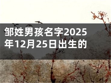 邹姓男孩名字2025年12月25日出生的