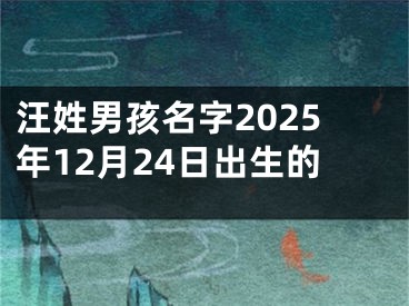 汪姓男孩名字2025年12月24日出生的