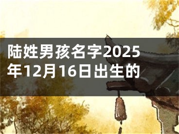 陆姓男孩名字2025年12月16日出生的