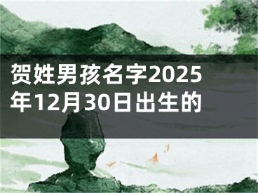 贺姓男孩名字2025年12月30日出生的