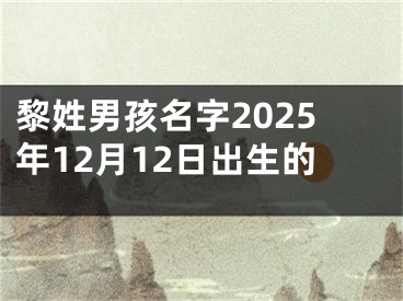 黎姓男孩名字2025年12月12日出生的