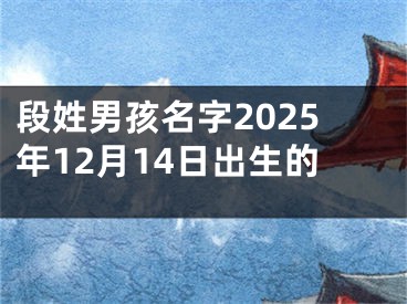 段姓男孩名字2025年12月14日出生的