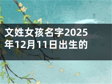 文姓女孩名字2025年12月11日出生的