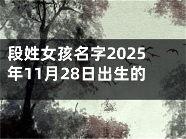 段姓女孩名字2025年11月28日出生的