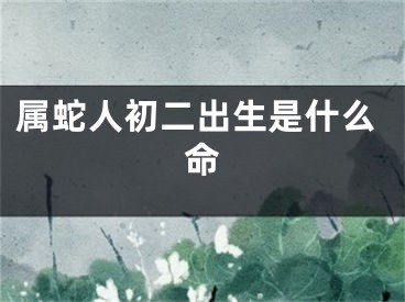 属蛇人初二出生是什么命