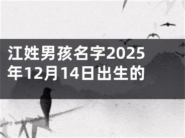 江姓男孩名字2025年12月14日出生的