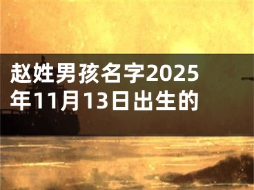 赵姓男孩名字2025年11月13日出生的