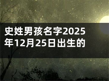 史姓男孩名字2025年12月25日出生的