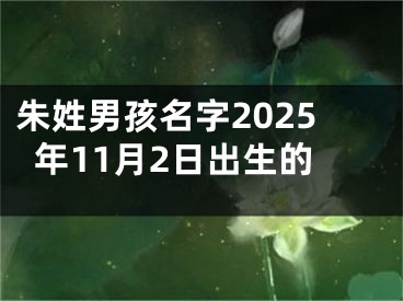 朱姓男孩名字2025年11月2日出生的