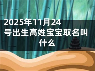 2025年11月24号出生高姓宝宝取名叫什么