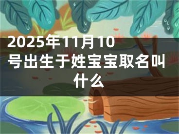 2025年11月10号出生于姓宝宝取名叫什么