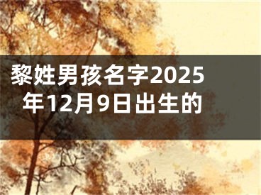 黎姓男孩名字2025年12月9日出生的