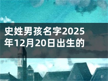 史姓男孩名字2025年12月20日出生的