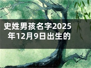 史姓男孩名字2025年12月9日出生的
