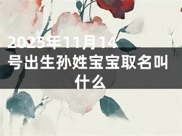 2025年11月14号出生孙姓宝宝取名叫什么