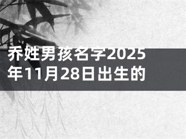 乔姓男孩名字2025年11月28日出生的
