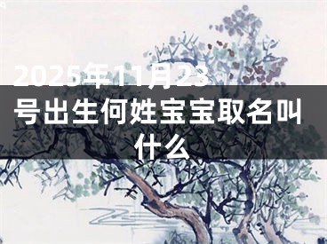 2025年11月23号出生何姓宝宝取名叫什么