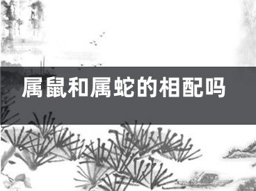 属鼠和属蛇的相配吗