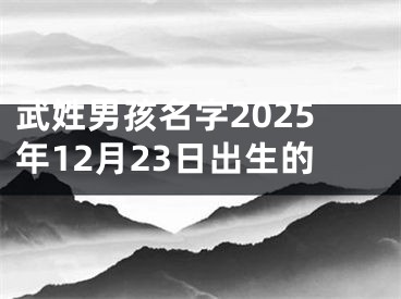 武姓男孩名字2025年12月23日出生的