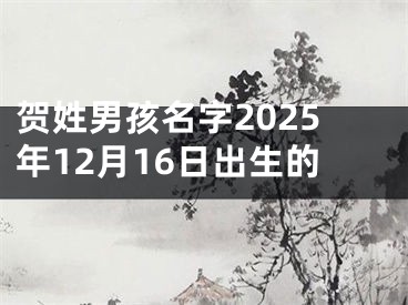 贺姓男孩名字2025年12月16日出生的