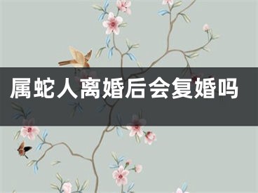 属蛇人离婚后会复婚吗