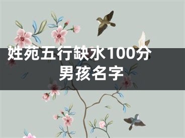 姓苑五行缺水100分男孩名字
