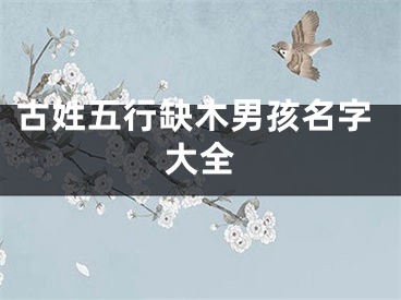 古姓五行缺木男孩名字大全
