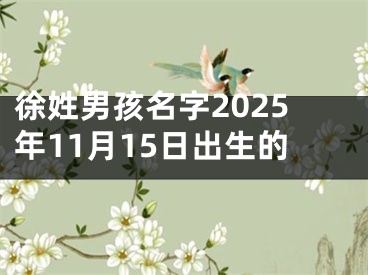 徐姓男孩名字2025年11月15日出生的