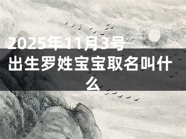2025年11月3号出生罗姓宝宝取名叫什么