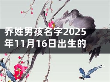 乔姓男孩名字2025年11月16日出生的