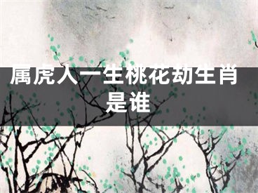 属虎人一生桃花劫生肖是谁