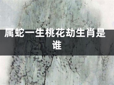 属蛇一生桃花劫生肖是谁