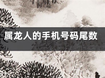 属龙人的手机号码尾数