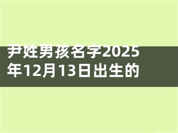 尹姓男孩名字2025年12月13日出生的