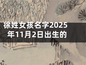 徐姓女孩名字2025年11月2日出生的