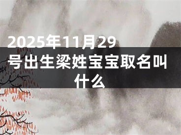 2025年11月29号出生梁姓宝宝取名叫什么